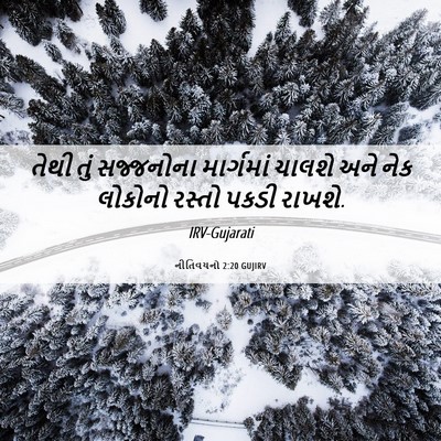 Picture 06 - નીતિવચનો 2:20 GUJIRV - તેથી તું સજ્જનોના - Bible Verse Picture