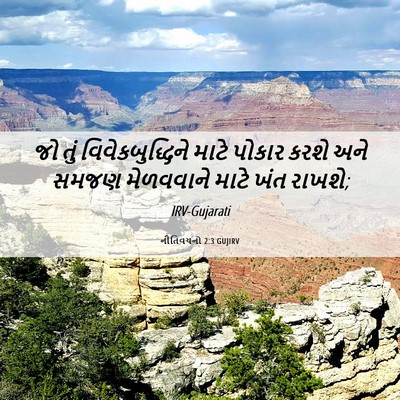 Picture 06 - નીતિવચનો 2:3 GUJIRV - જો તું - Bible Verse Picture