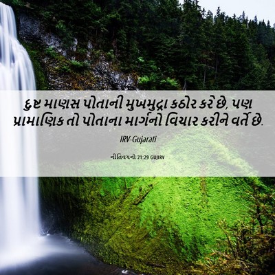 Picture 06 - નીતિવચનો 21:29 GUJIRV - દુષ્ટ માણસ પોતાની - Bible Verse Picture