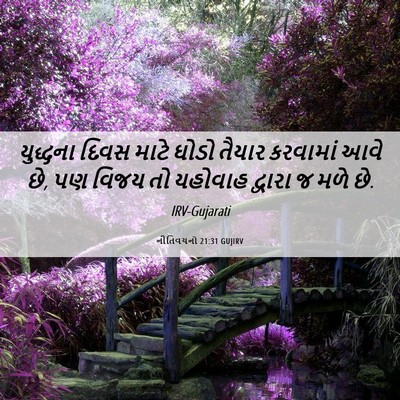 Picture 06 - નીતિવચનો 21:31 GUJIRV - યુદ્ધના દિવસ માટે - Bible Verse Picture