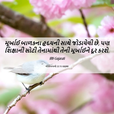 Picture 06 - નીતિવચનો 22:15 GUJIRV - મૂર્ખાઈ બાળકના - Bible Verse Picture