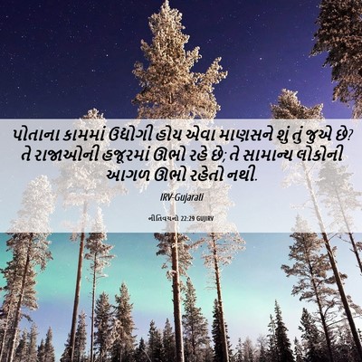 Picture 06 - નીતિવચનો 22:29 GUJIRV - પોતાના કામમાં - Bible Verse Picture