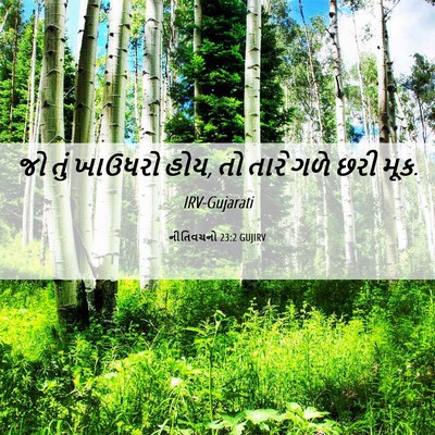 Picture 06 - નીતિવચનો 23:2 GUJIRV - જો તું ખાઉધરો હોય, - Bible Verse Picture