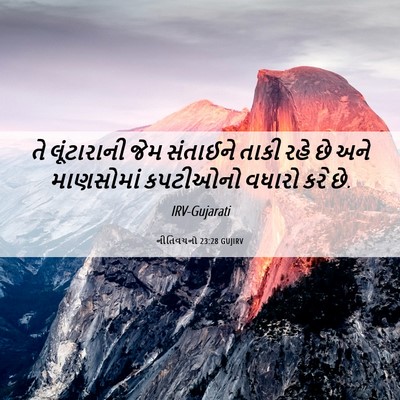 Picture 06 - નીતિવચનો 23:28 GUJIRV - તે લૂંટારાની જેમ - Bible Verse Picture