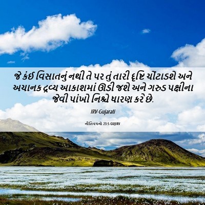 Picture 06 - નીતિવચનો 23:5 GUJIRV - જે કંઈ વિસાતનું - Bible Verse Picture