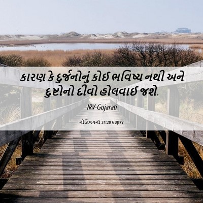 Picture 06 - નીતિવચનો 24:20 GUJIRV - કારણ કે - Bible Verse Picture