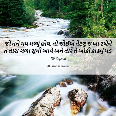 Picture 06 - નીતિવચનો 25:16 GUJIRV - જો તને મધ મળ્યું - Bible Verse Picture