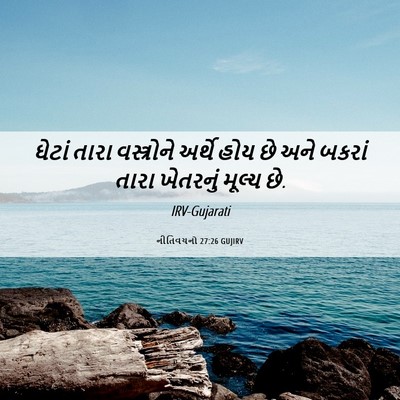 Picture 06 - નીતિવચનો 27:26 GUJIRV - ઘેટાં તારા - Bible Verse Picture