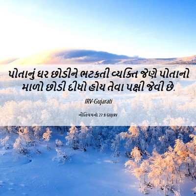 Picture 06 - નીતિવચનો 27:8 GUJIRV - પોતાનું ઘર છોડીને - Bible Verse Picture