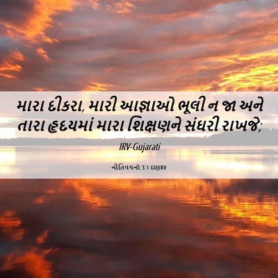 Picture 06 - નીતિવચનો 3:1 GUJIRV - મારા દીકરા, મારી - Bible Verse Picture
