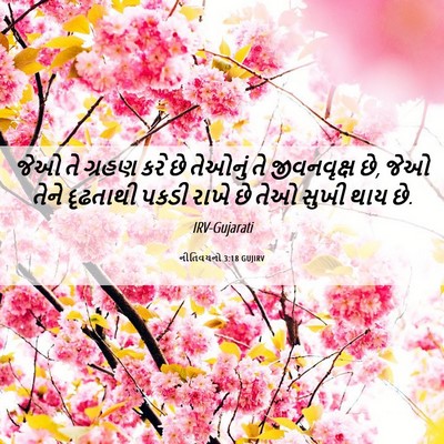 Picture 06 - નીતિવચનો 3:18 GUJIRV - જેઓ તે ગ્રહણ કરે છે - Bible Verse Picture