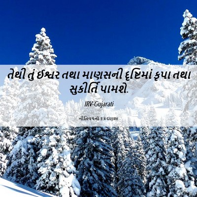 Picture 06 - નીતિવચનો 3:4 GUJIRV - તેથી તું ઈશ્વર તથા - Bible Verse Picture
