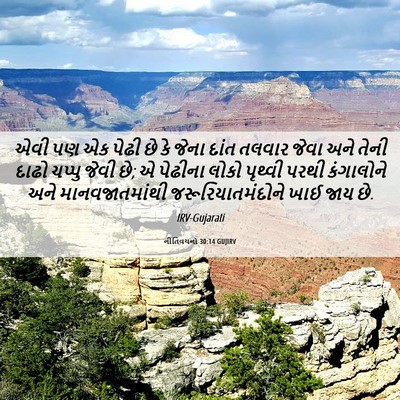 Picture 06 - નીતિવચનો 30:14 GUJIRV - એવી પણ એક પેઢી છે - Bible Verse Picture