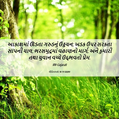 Picture 06 - નીતિવચનો 30:19 GUJIRV - આકાશમાં ઊડતા - Bible Verse Picture