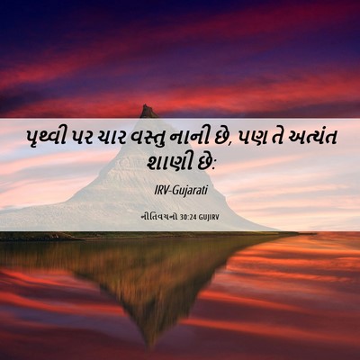 Picture 06 - નીતિવચનો 30:24 GUJIRV - પૃથ્વી પર ચાર - Bible Verse Picture