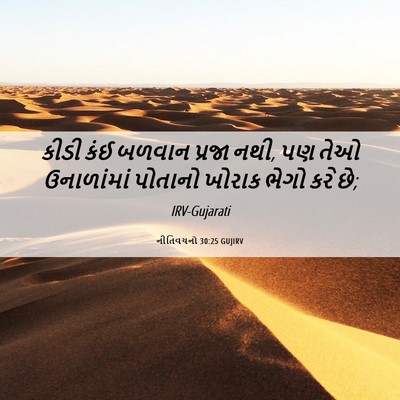 Picture 06 - નીતિવચનો 30:25 GUJIRV - કીડી કંઈ બળવાન - Bible Verse Picture