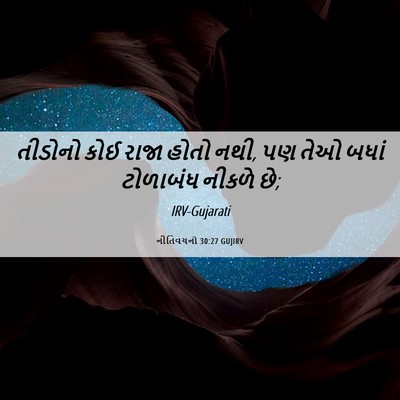 Picture 06 - નીતિવચનો 30:27 GUJIRV - તીડોનો કોઈ રાજા - Bible Verse Picture