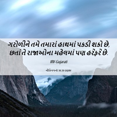 Picture 06 - નીતિવચનો 30:28 GUJIRV - ગરોળીને તમે - Bible Verse Picture