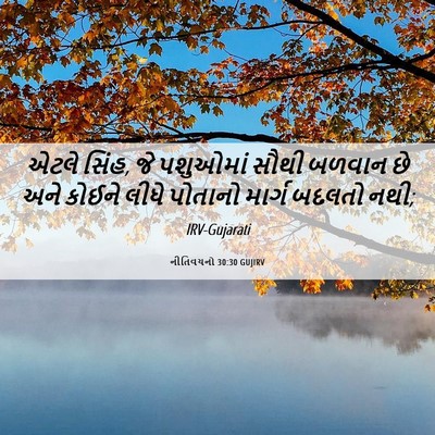 Picture 06 - નીતિવચનો 30:30 GUJIRV - એટલે સિંહ, જે - Bible Verse Picture