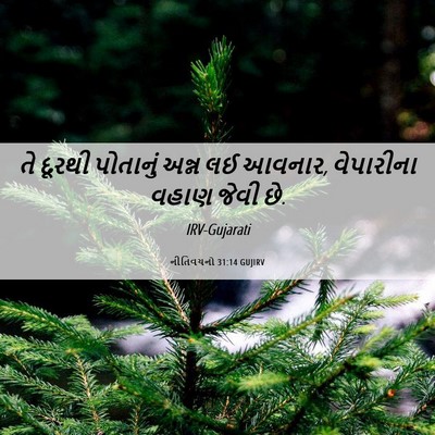 Picture 06 - નીતિવચનો 31:14 GUJIRV - તે દૂરથી પોતાનું - Bible Verse Picture