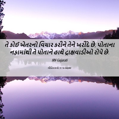 Picture 06 - નીતિવચનો 31:16 GUJIRV - તે કોઈ ખેતરનો - Bible Verse Picture