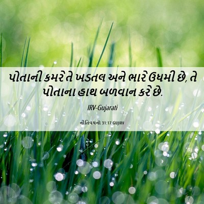 Picture 06 - નીતિવચનો 31:17 GUJIRV - પોતાની કમરે તે - Bible Verse Picture
