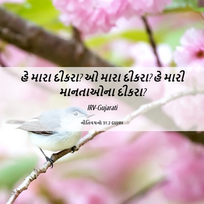 Picture 06 - નીતિવચનો 31:2 GUJIRV - હે મારા દીકરા? ઓ - Bible Verse Picture