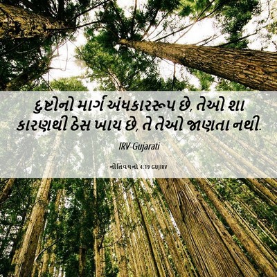 Picture 06 - નીતિવચનો 4:19 GUJIRV - દુષ્ટોનો માર્ગ - Bible Verse Picture