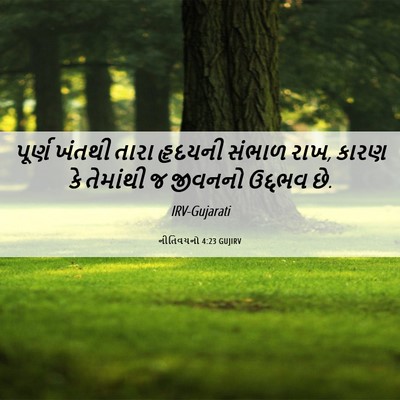 Picture 06 - નીતિવચનો 4:23 GUJIRV - પૂર્ણ ખંતથી તારા - Bible Verse Picture