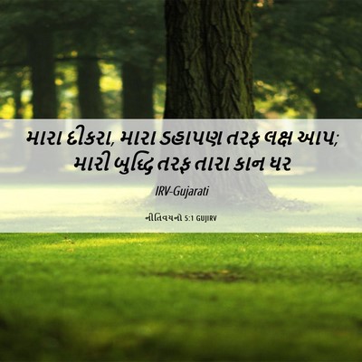 Picture 06 - નીતિવચનો 5:1 GUJIRV - મારા દીકરા, મારા - Bible Verse Picture