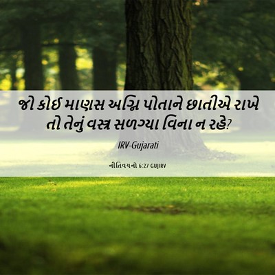 Picture 06 - નીતિવચનો 6:27 GUJIRV - જો કોઈ માણસ અગ્નિ - Bible Verse Picture