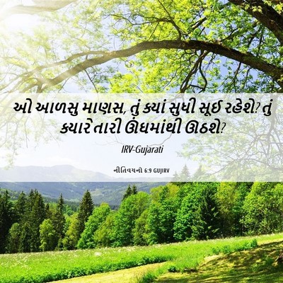 Picture 06 - નીતિવચનો 6:9 GUJIRV - ઓ આળસુ માણસ, તું - Bible Verse Picture