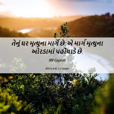 Picture 06 - નીતિવચનો 7:27 GUJIRV - તેનું ઘર મૃત્યુના - Bible Verse Picture