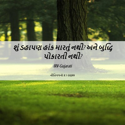 Picture 06 - નીતિવચનો 8:1 GUJIRV - શું ડહાપણ હાંક - Bible Verse Picture