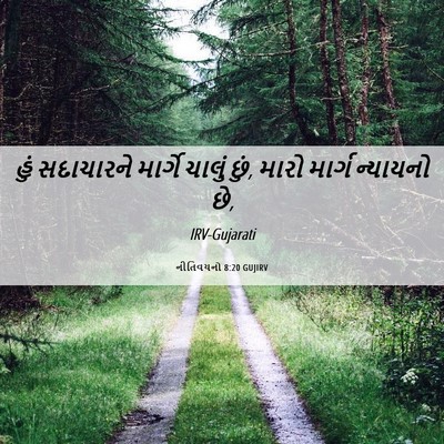 Picture 06 - નીતિવચનો 8:20 GUJIRV - હું સદાચારને - Bible Verse Picture