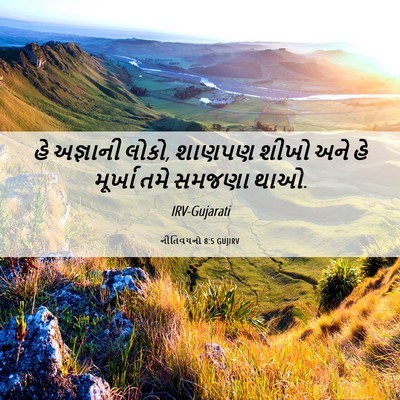 Picture 06 - નીતિવચનો 8:5 GUJIRV - હે અજ્ઞાની લોકો, - Bible Verse Picture