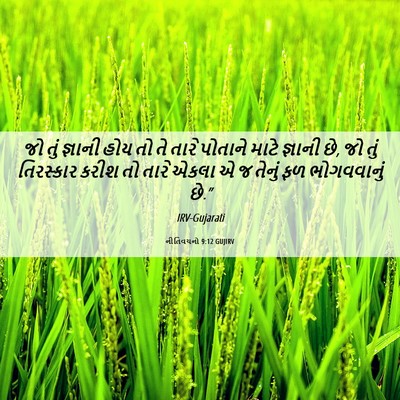Picture 06 - નીતિવચનો 9:12 GUJIRV - જો તું જ્ઞાની હોય - Bible Verse Picture