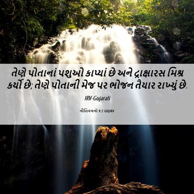 Picture 06 - નીતિવચનો 9:2 GUJIRV - તેણે પોતાનાં પશુઓ - Bible Verse Picture