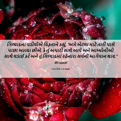 Picture 06 - ન્યાયાધીશો 11:8 GUJIRV - ગિલ્યાદના વડીલોએ - Bible Verse Picture
