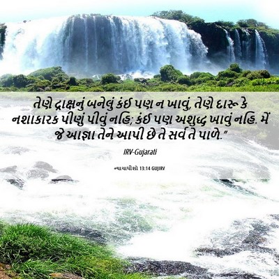 Picture 06 - ન્યાયાધીશો 13:14 GUJIRV - તેણે દ્રાક્ષનું - Bible Verse Picture