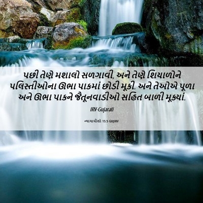 Picture 06 - ન્યાયાધીશો 15:5 GUJIRV - પછી તેણે મશાલો - Bible Verse Picture