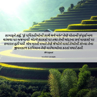Picture 06 - ન્યાયાધીશો 16:30 GUJIRV - સામસૂને કહ્યું, - Bible Verse Picture