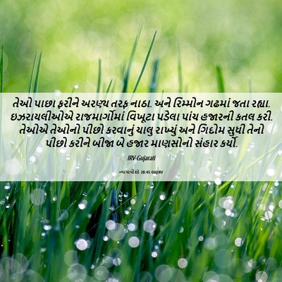 Picture 06 - ન્યાયાધીશો 20:45 GUJIRV - તેઓ પાછા ફરીને - Bible Verse Picture