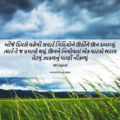 Picture 06 - ન્યાયાધીશો 6:38 GUJIRV - બીજે દિવસે વહેલી - Bible Verse Picture