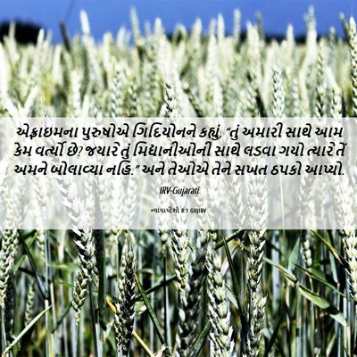 Picture 06 - ન્યાયાધીશો 8:1 GUJIRV - એફ્રાઇમના પુરુષોએ - Bible Verse Picture