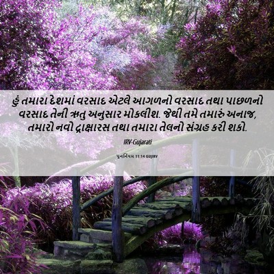 Picture 06 - પુનર્નિયમ 11:14 GUJIRV - હું તમારા દેશમાં - Bible Verse Picture