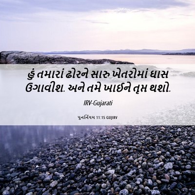 Picture 06 - પુનર્નિયમ 11:15 GUJIRV - હું તમારાં ઢોરને - Bible Verse Picture