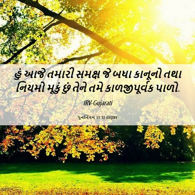 Picture 06 - પુનર્નિયમ 11:32 GUJIRV - હું આજે તમારી - Bible Verse Picture