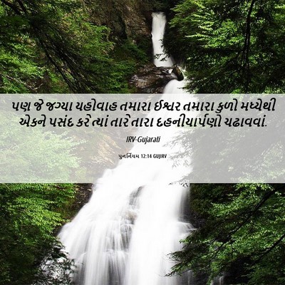 Picture 06 - પુનર્નિયમ 12:14 GUJIRV - પણ જે જગ્યા યહોવાહ - Bible Verse Picture