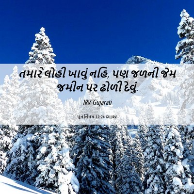 Picture 06 - પુનર્નિયમ 12:24 GUJIRV - તમારે લોહી ખાવું - Bible Verse Picture